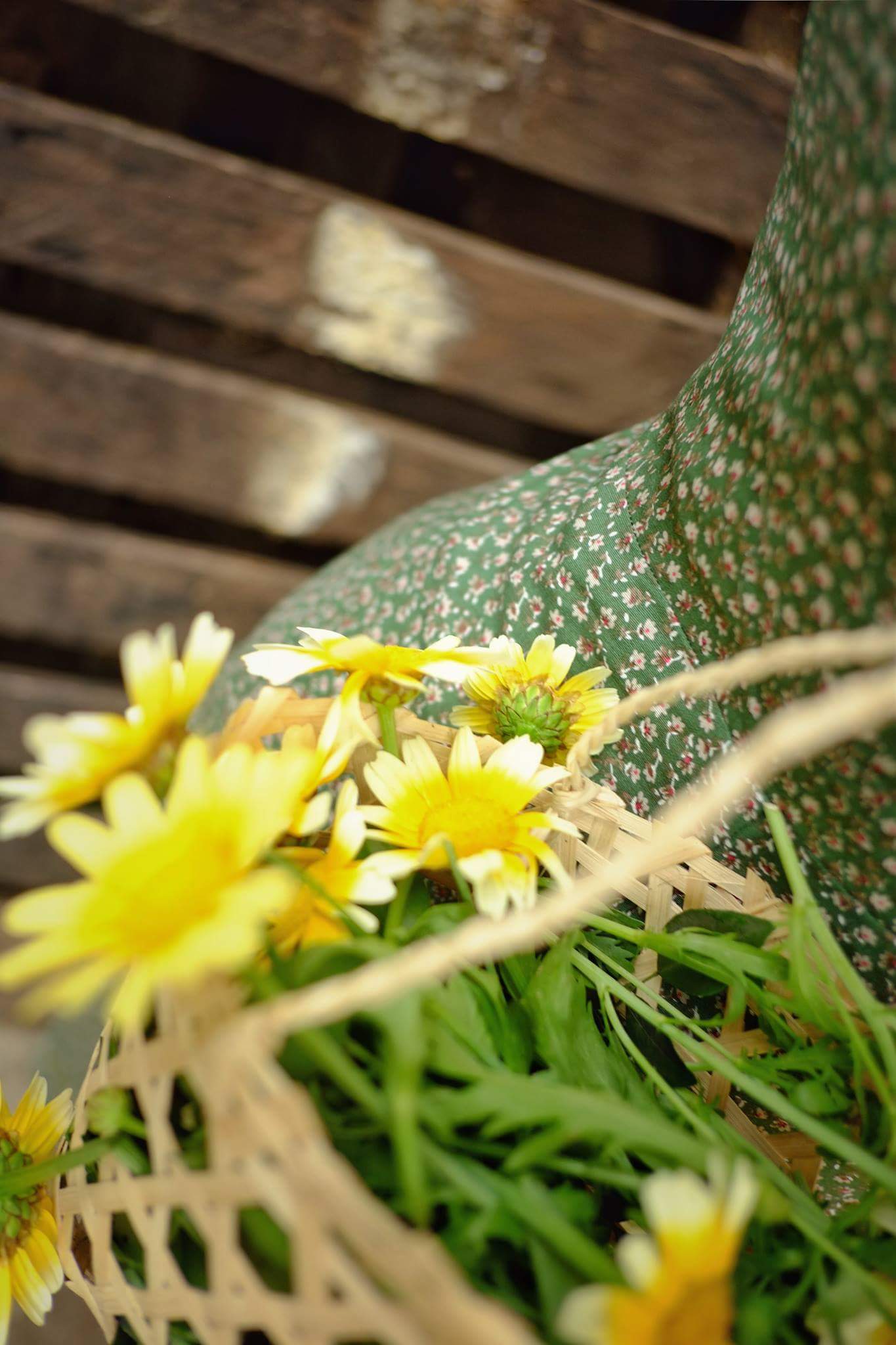 z4815699096283_c96ffce71308ee456dc69a0b2480c325